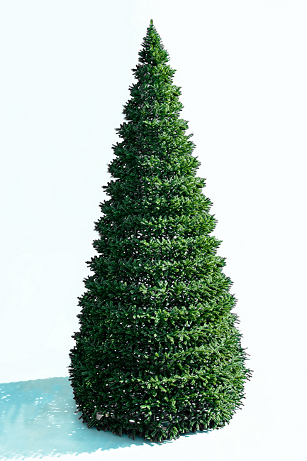 Каркасная сосна Евро-2