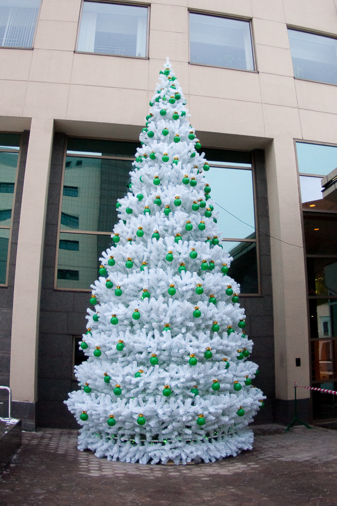 Уличная елка Уральская белая